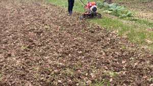 Pulitura terreno umido con motozappa